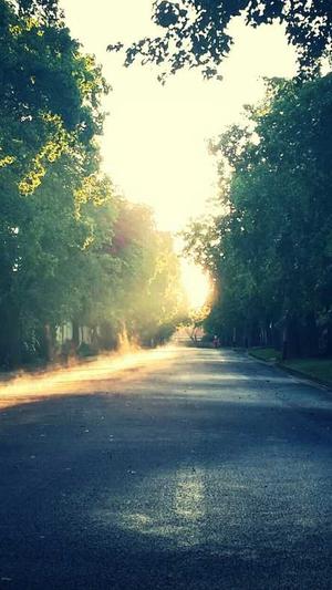 51吃瓜.world张津瑜截图1